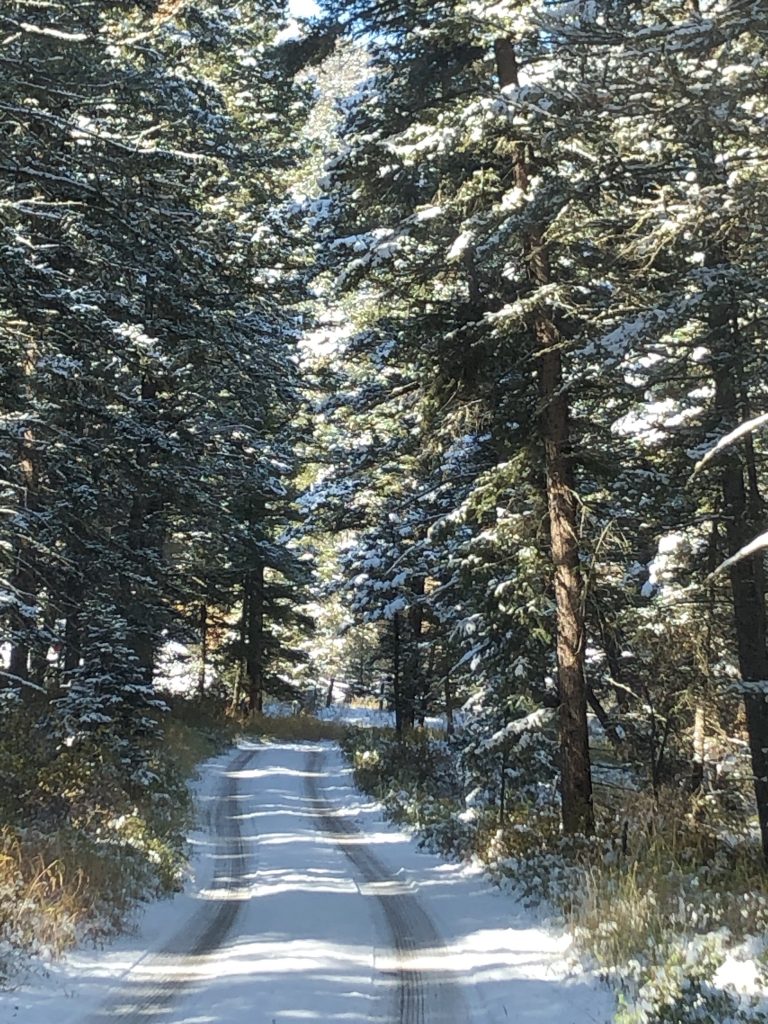 Home USA Today Bestselling Author Debra b